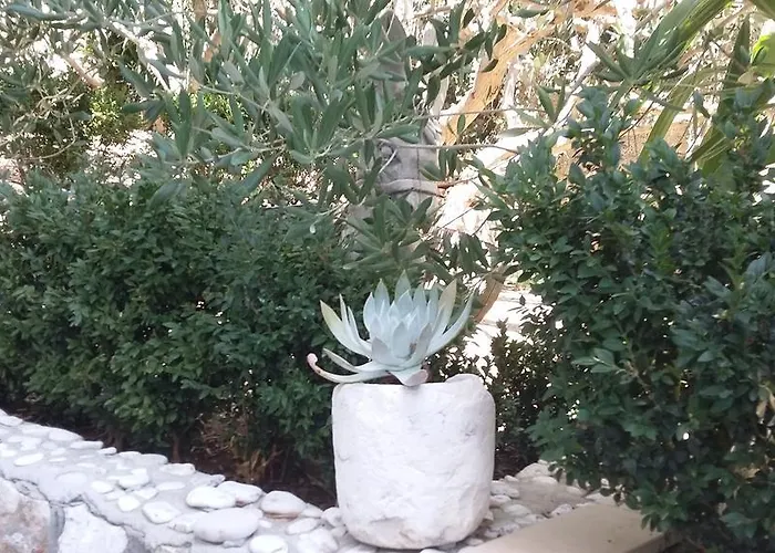 アントアナ フヴァル