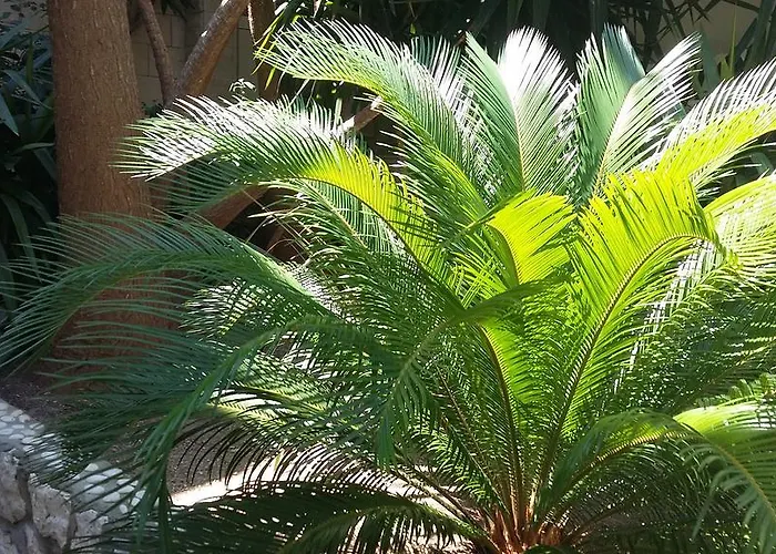 アントアナ アパート フヴァル