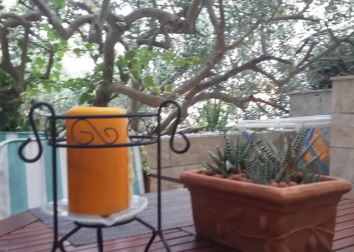 アントアナ * フヴァル