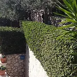 Apartment Antoana Hvar Town