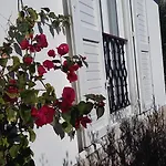 Apartment Antoana