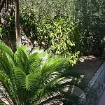Antoana *