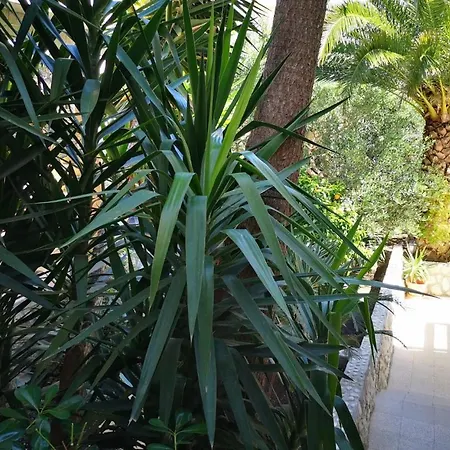 Apartamento Antoana Hvar Town