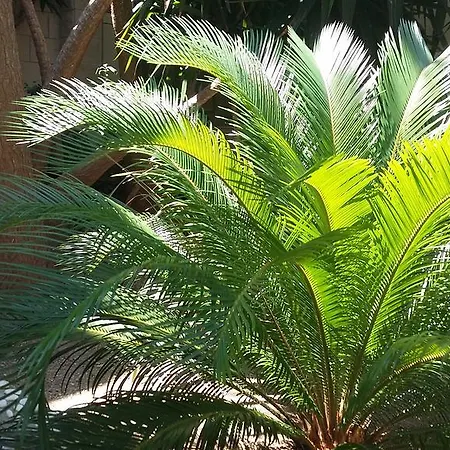 Antoana شقة هفار