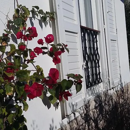 Apartman Antoana