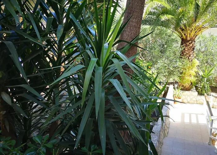 Apartamento Antoana Hvar Town